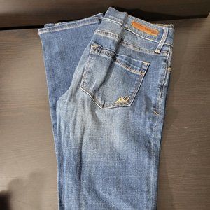 Express Skinny Straight Jeans